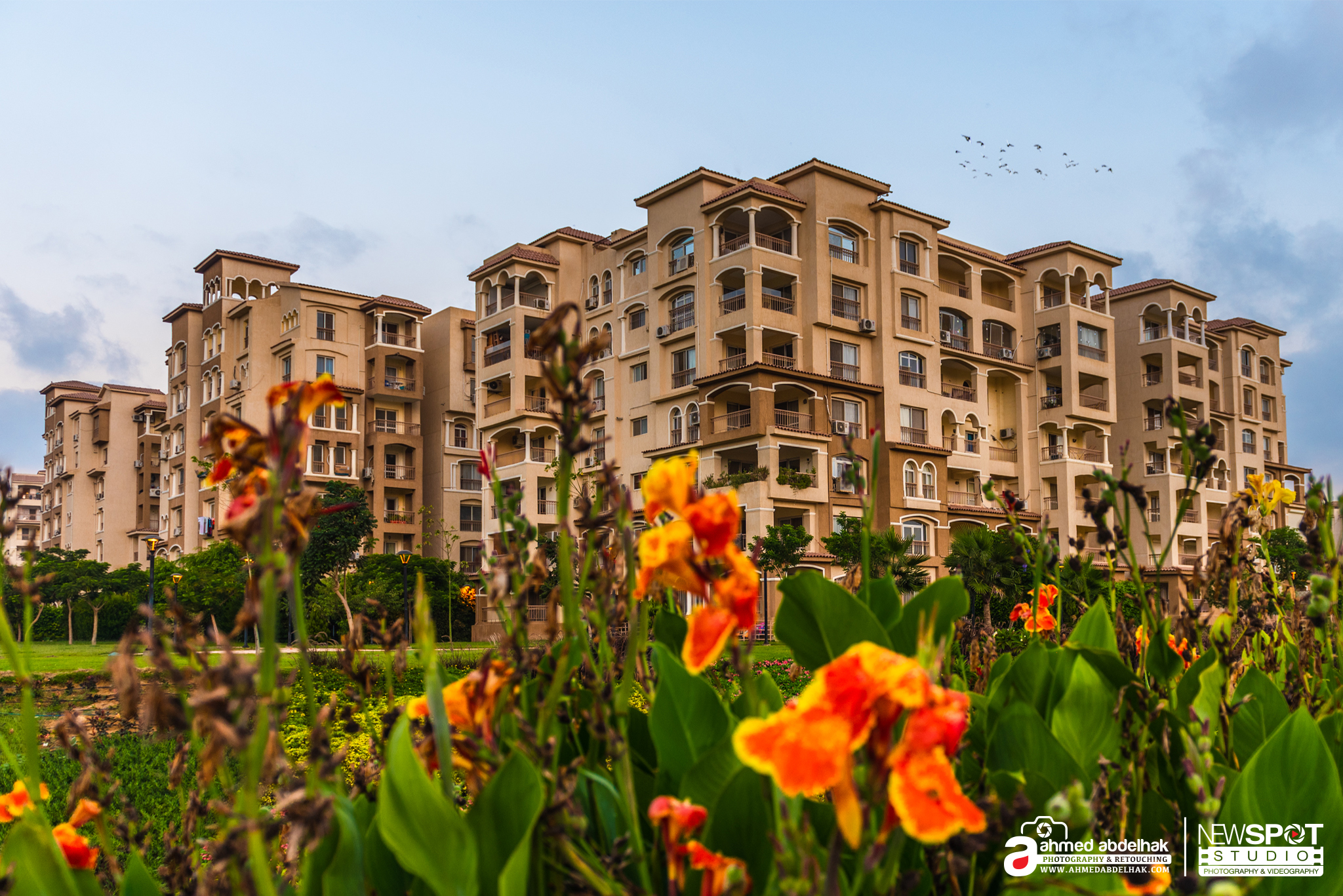 Madinaty B3 001 Logo